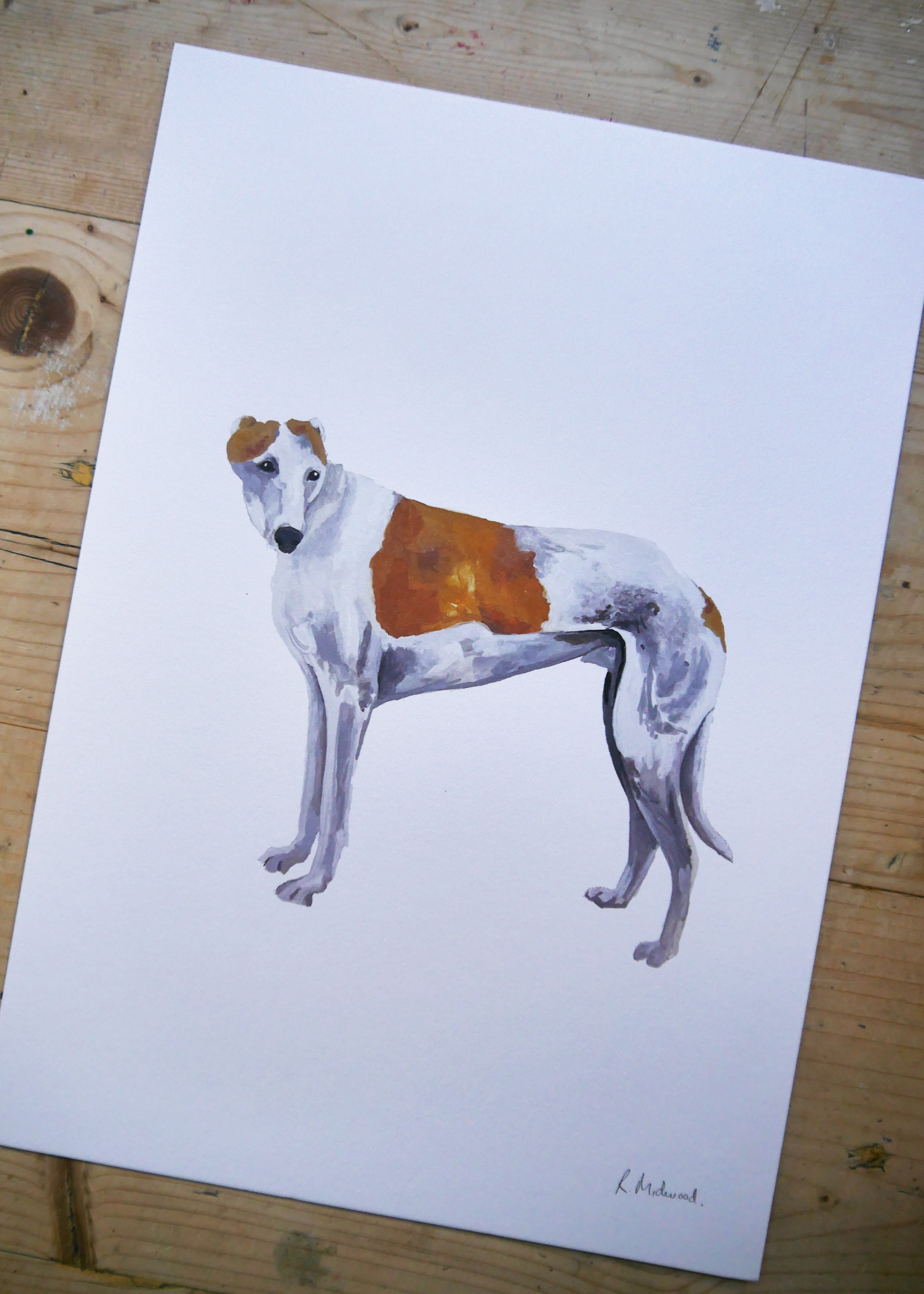 Greyhound Dog Print