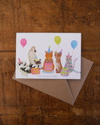 Cat Birthday Greetings Card