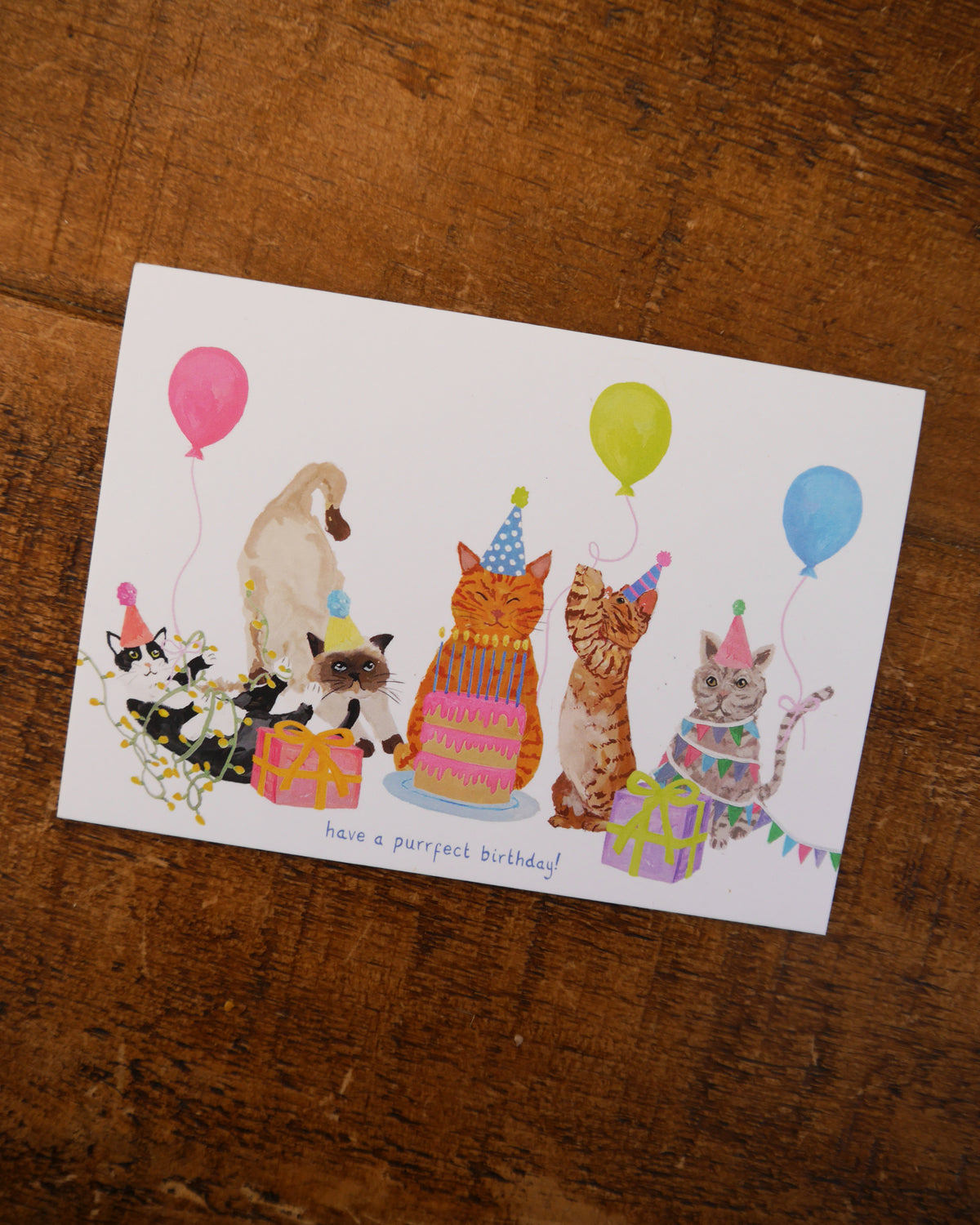 Cat Birthday Greetings Card