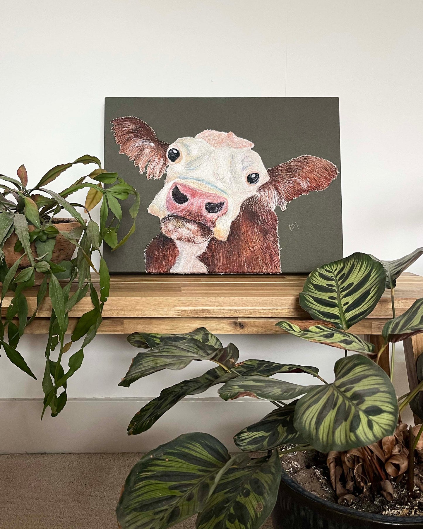 Hereford Cow Embroidered Canvas