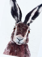 Hare Art Print