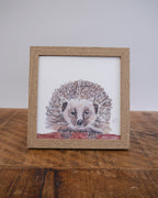 Hedgehog Small Framed Print