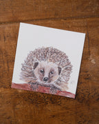Hedgehog Greetings Card