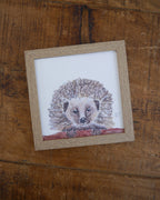 Hedgehog Small Framed Print