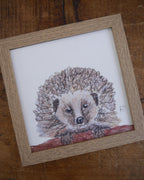 Hedgehog Small Framed Print