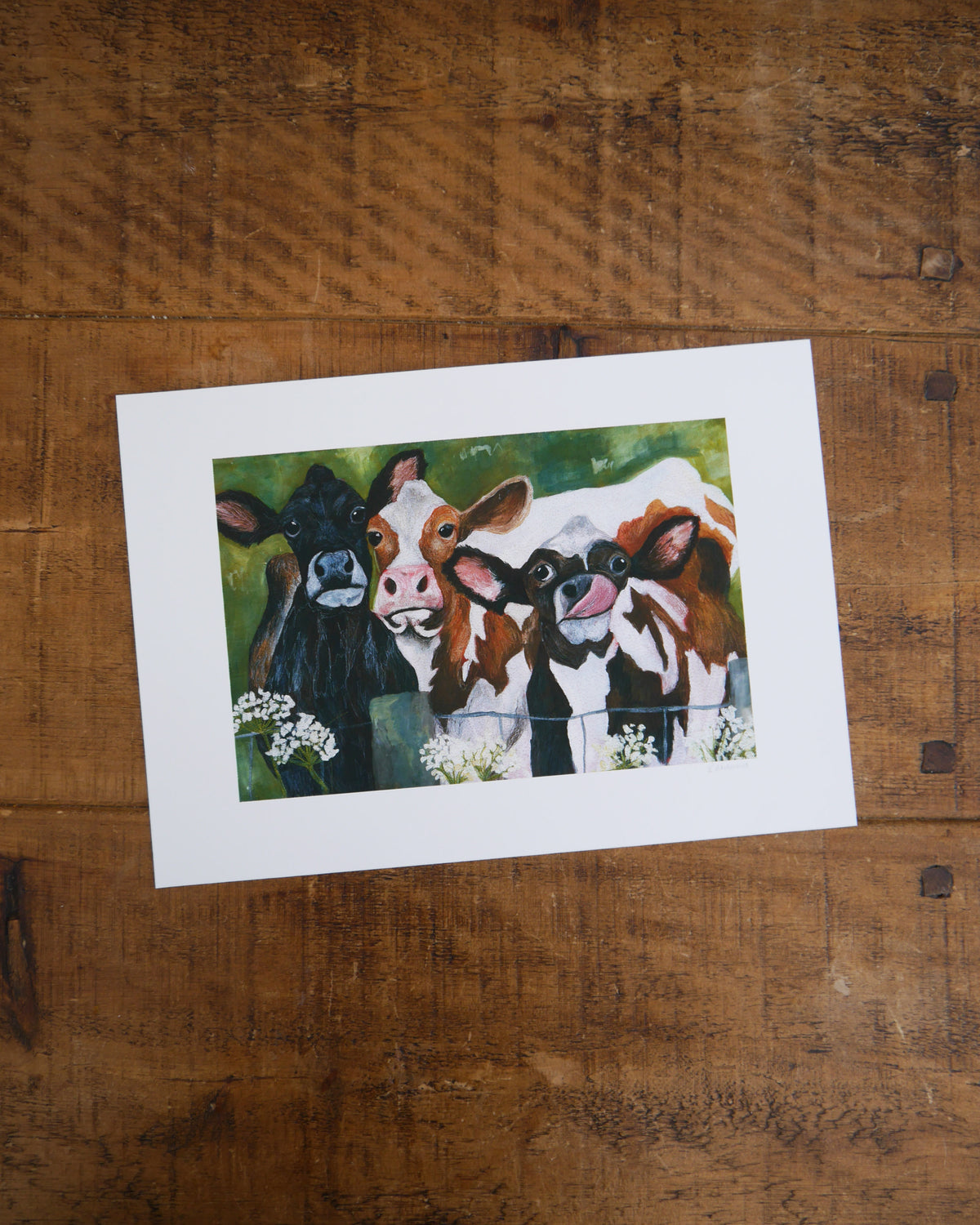 Herd of Cows Art Print