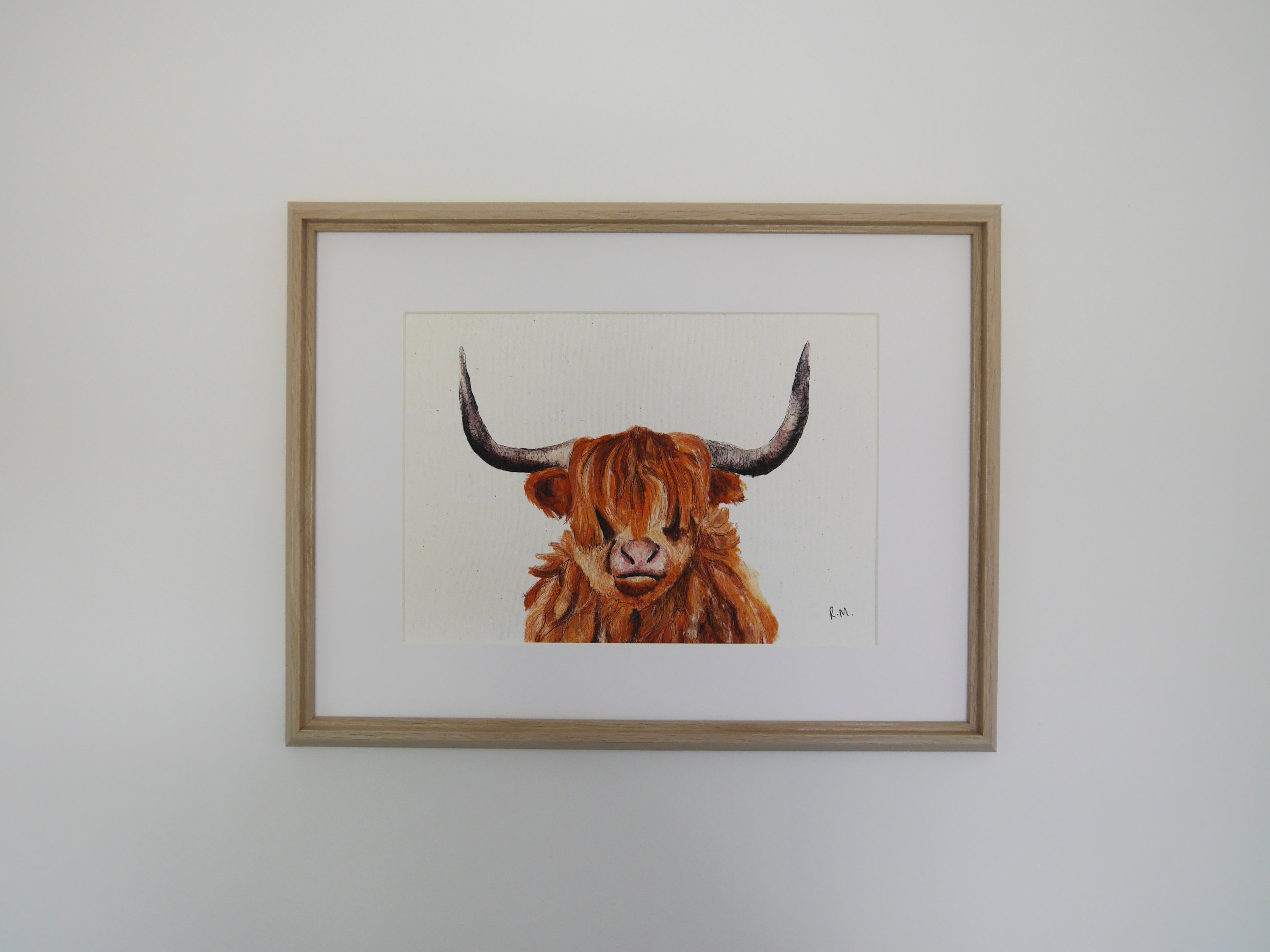 Highland Cow Art Print