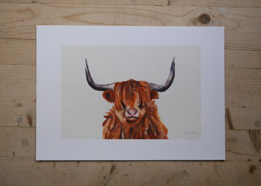 Highland Cow Art Print