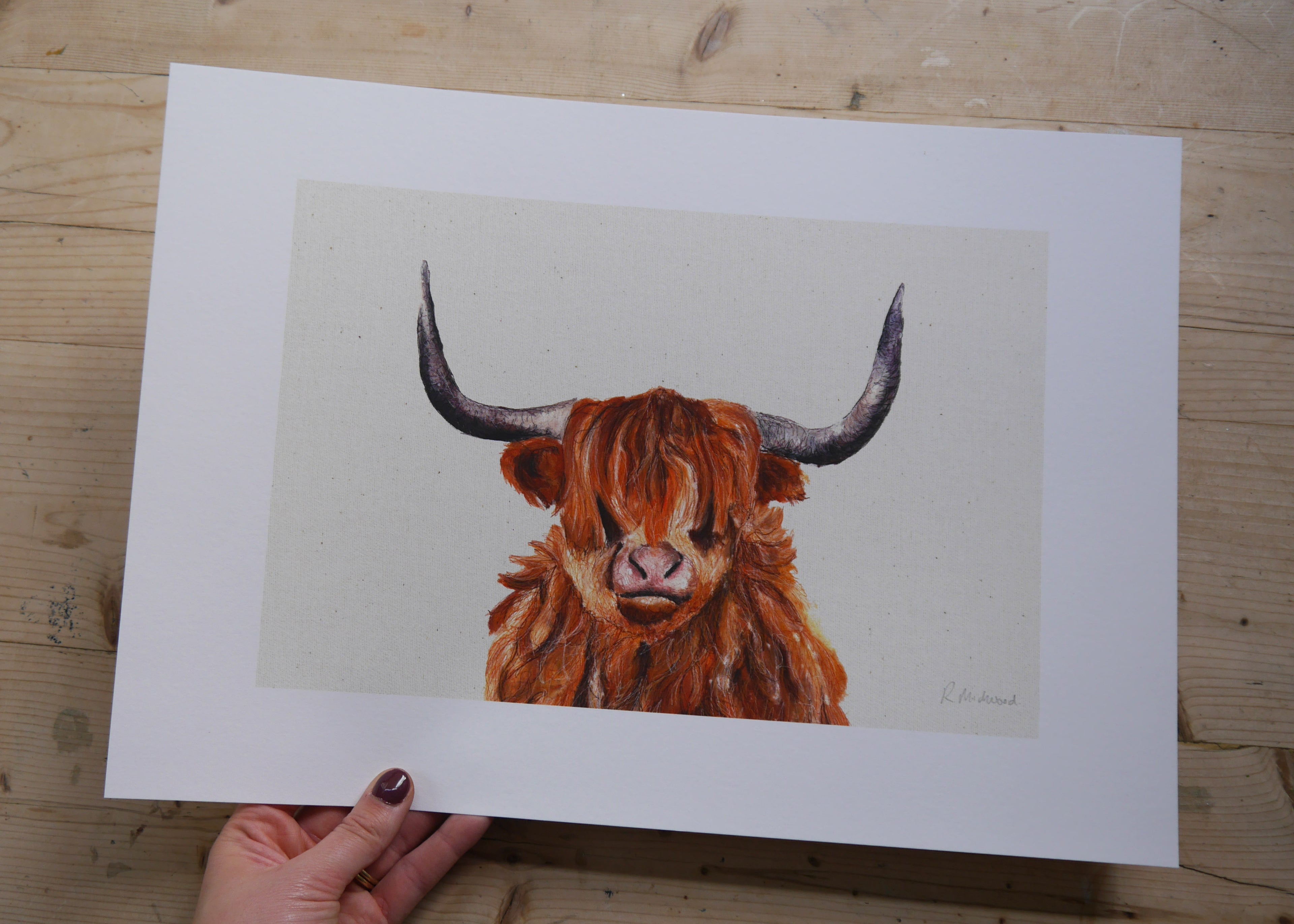 Highland Cow Art Print