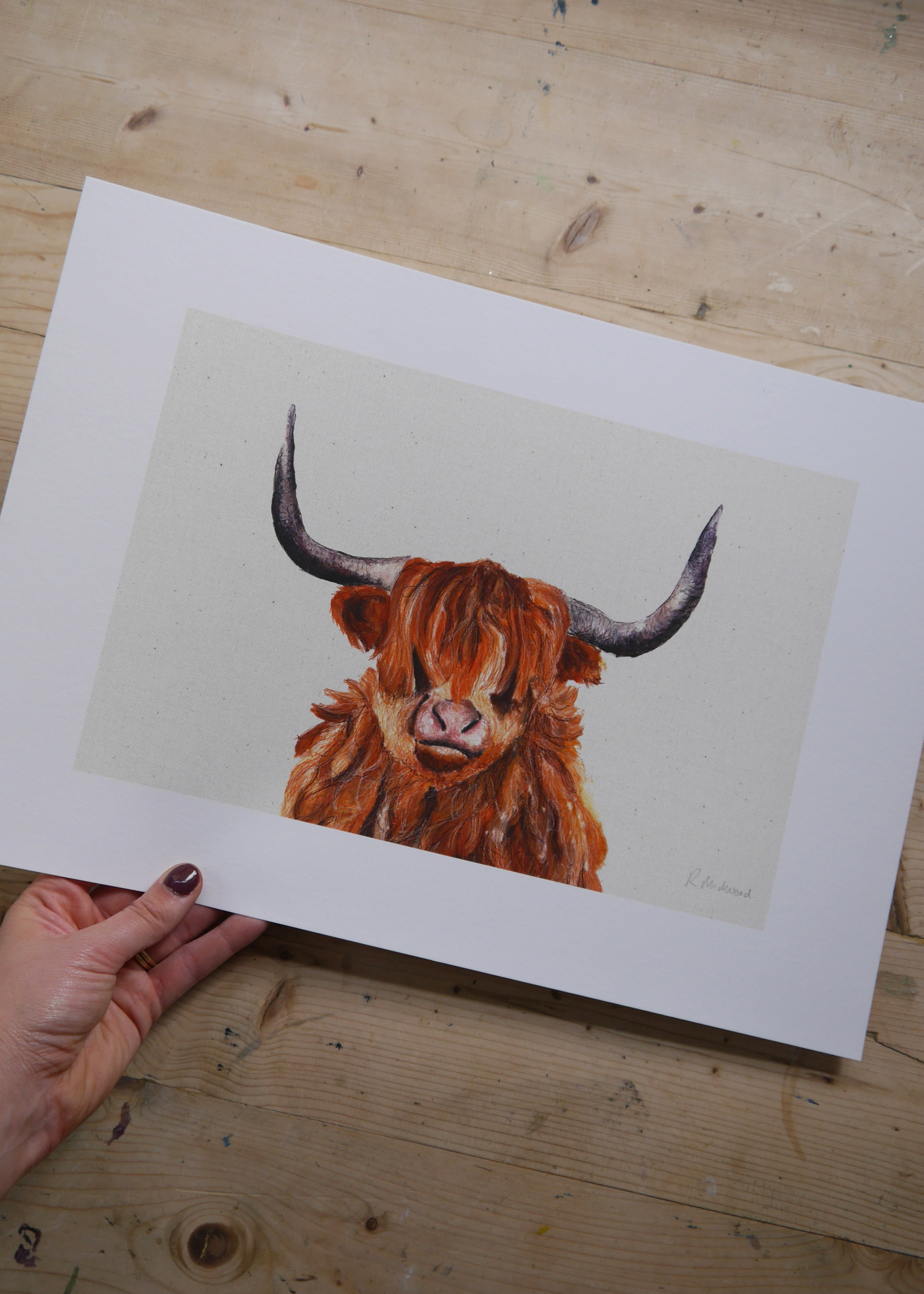 Highland Cow Art Print