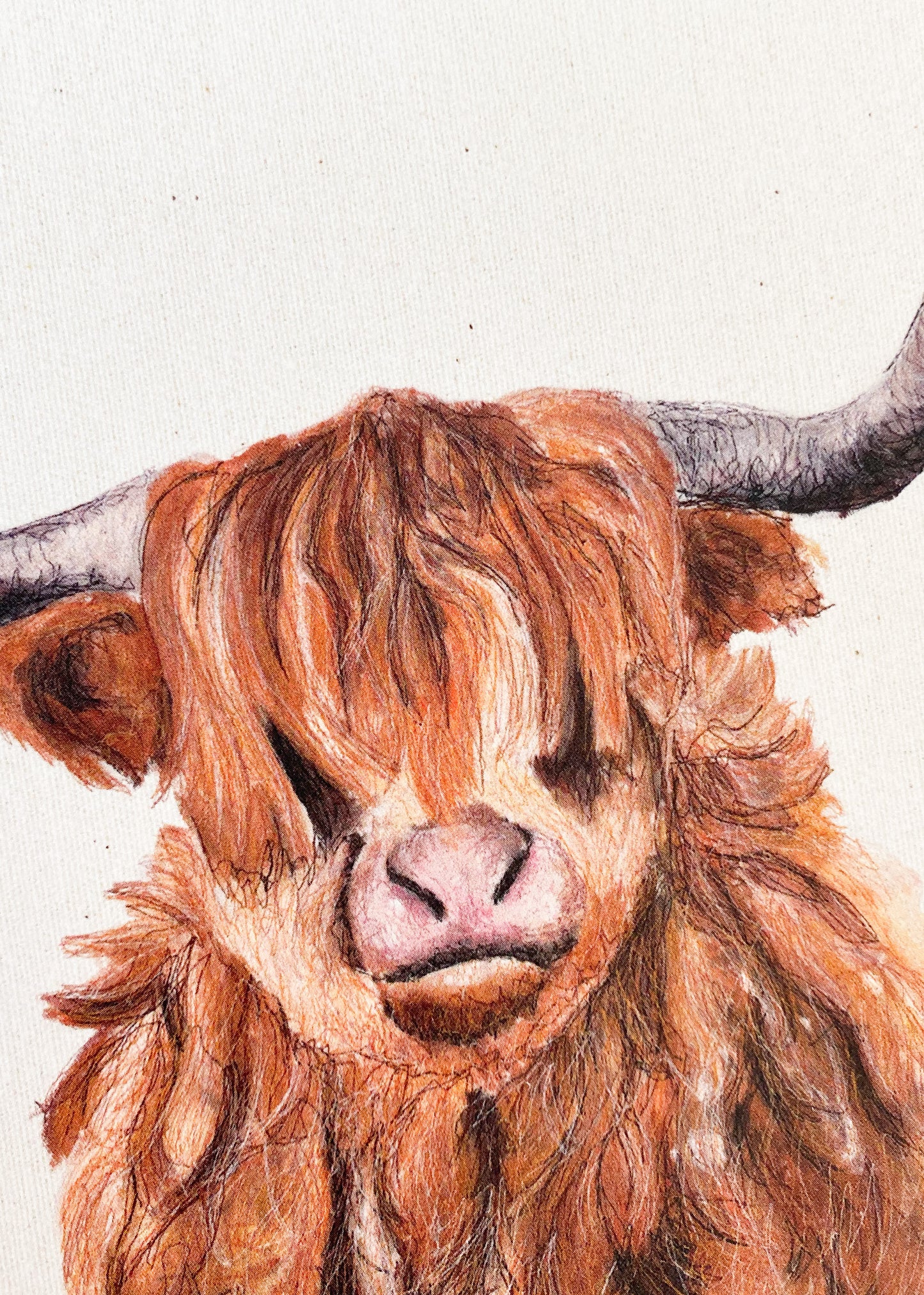 Highland Cow Greetings Card