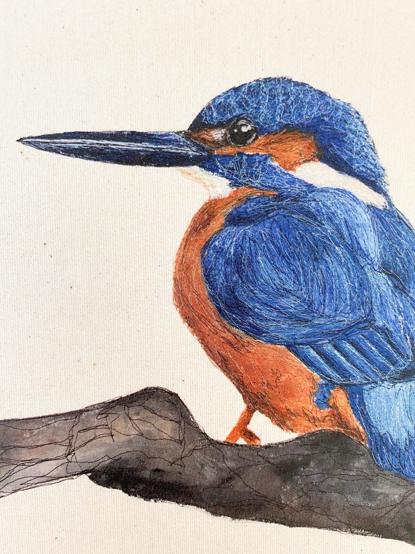 Kingfisher Greetings Card