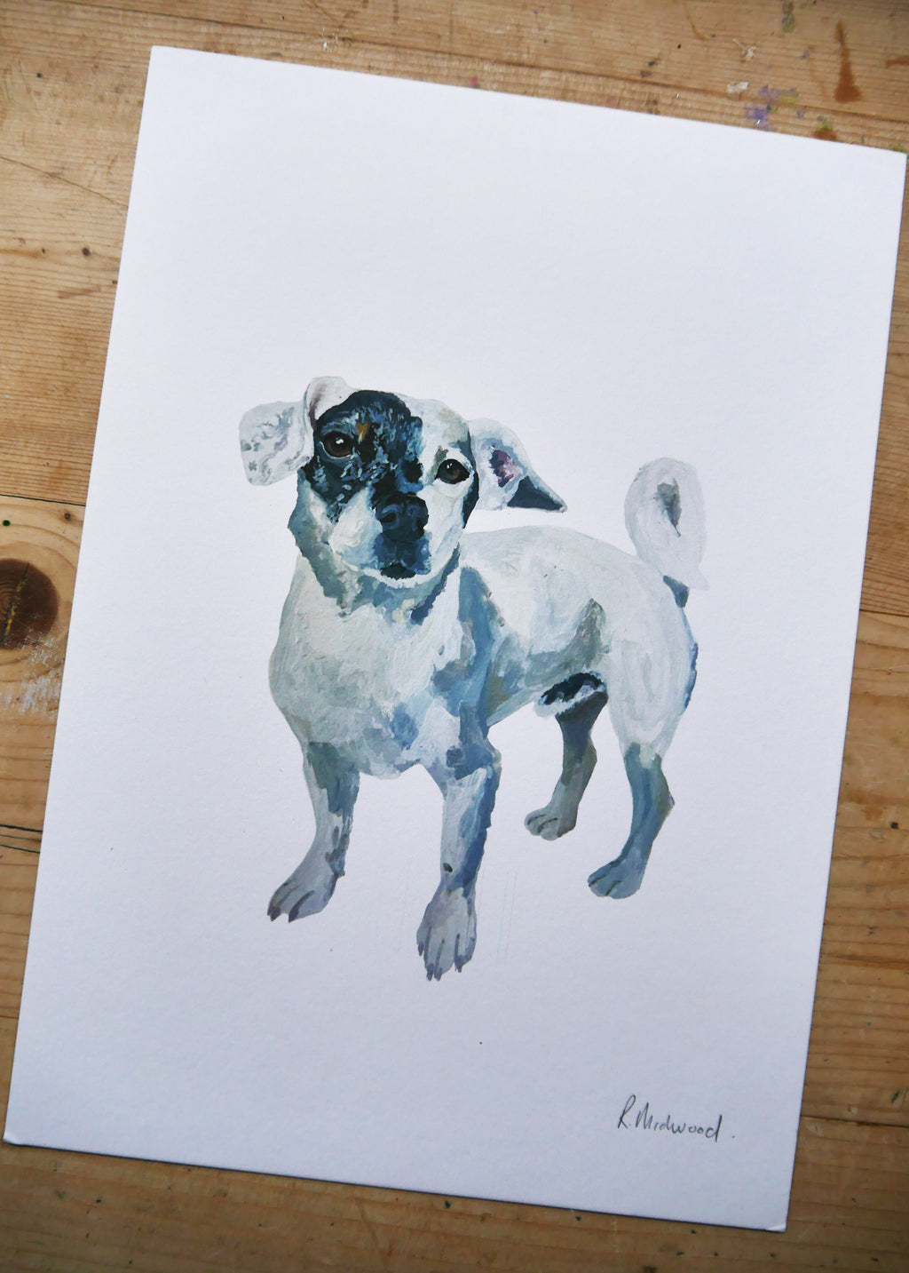 Jack Russell Dog Print