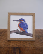 Kingfisher Small Framed Print