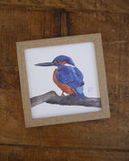 Kingfisher Small Framed Print