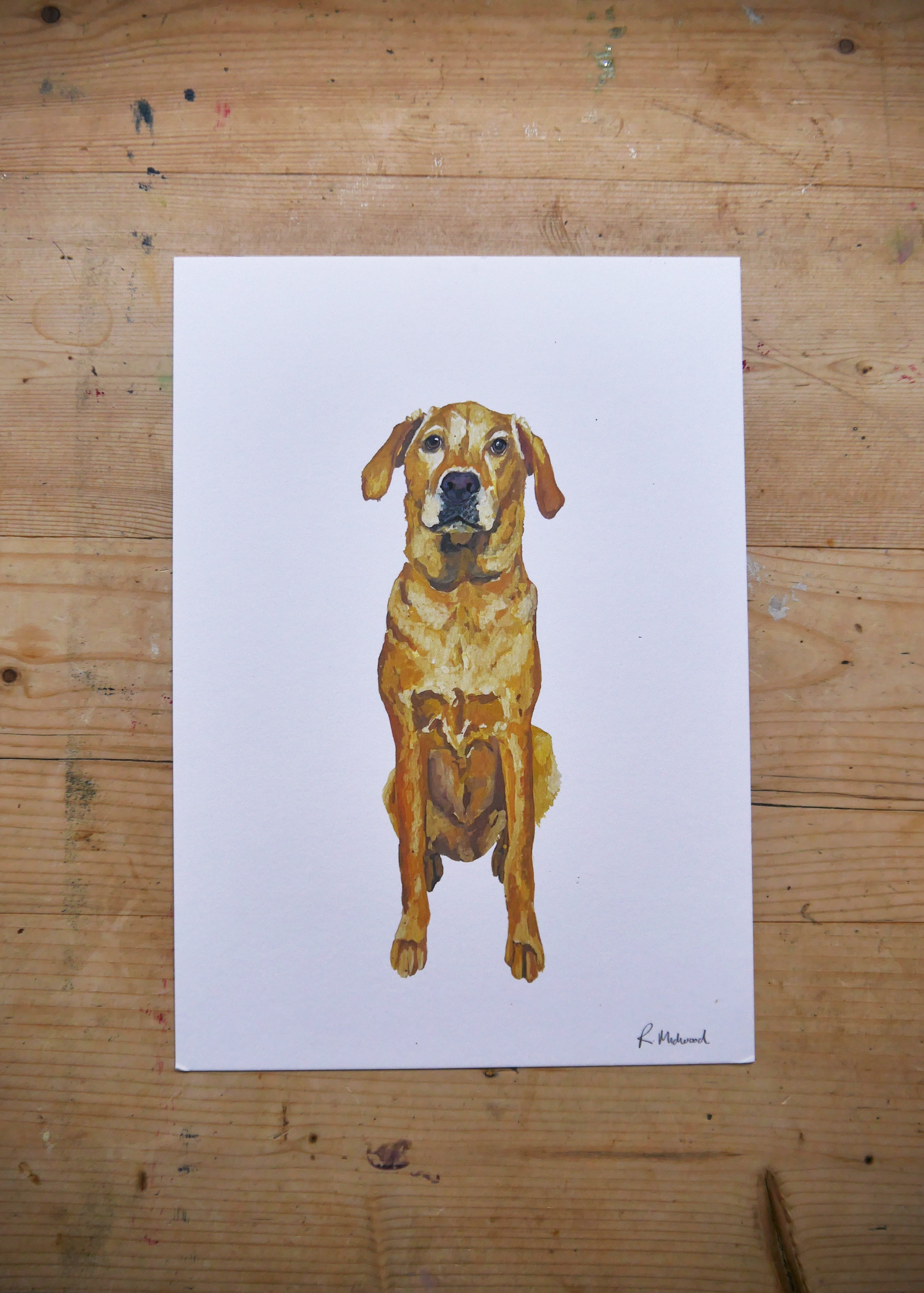 Golden Labrador Dog Print