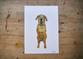 Golden Labrador Dog Print