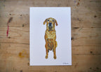 Golden Labrador Dog Print