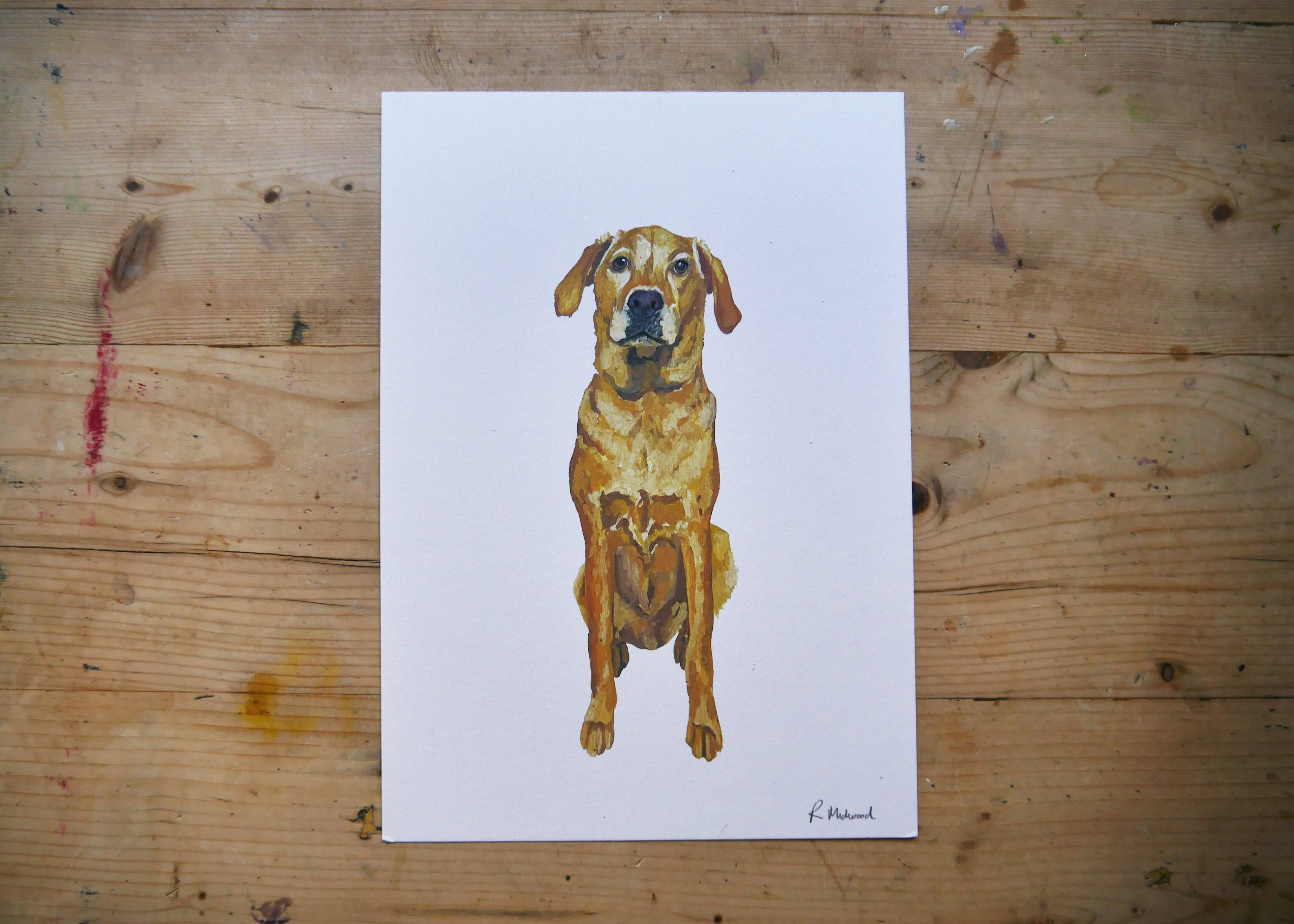 Golden Labrador Dog Print