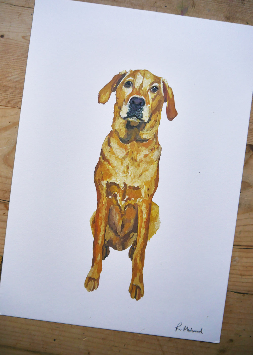 Golden Labrador Dog Print