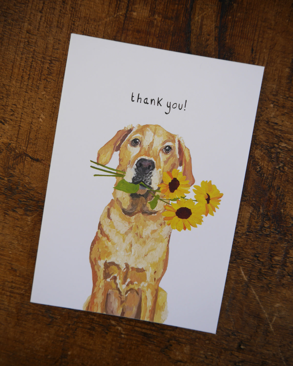 Labrador Thank you Greetings Card Pack