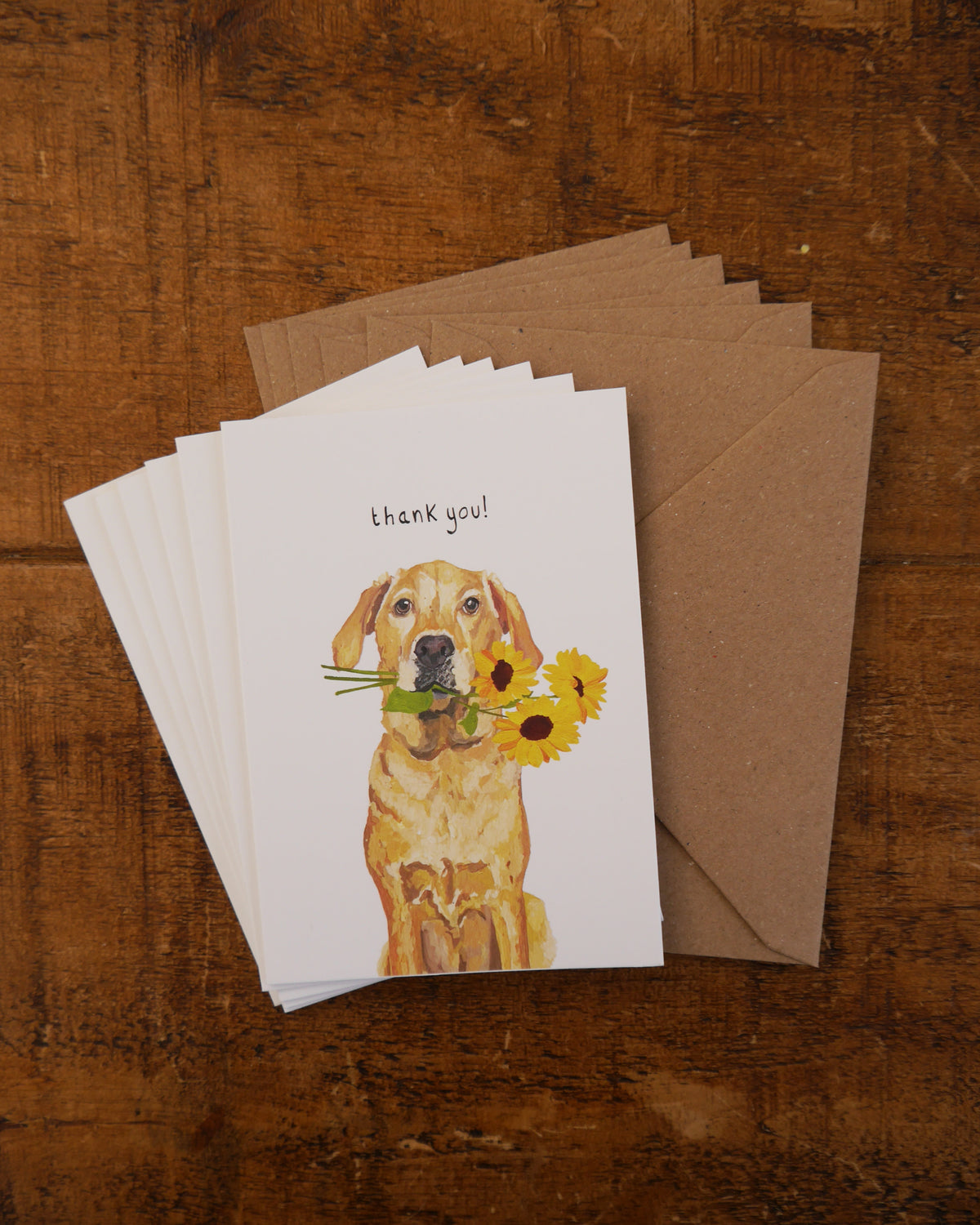 Labrador Thank you Greetings Card Pack