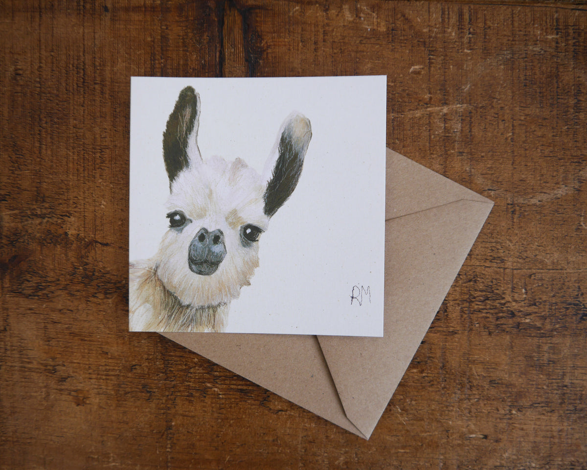 Llama Greetings Card