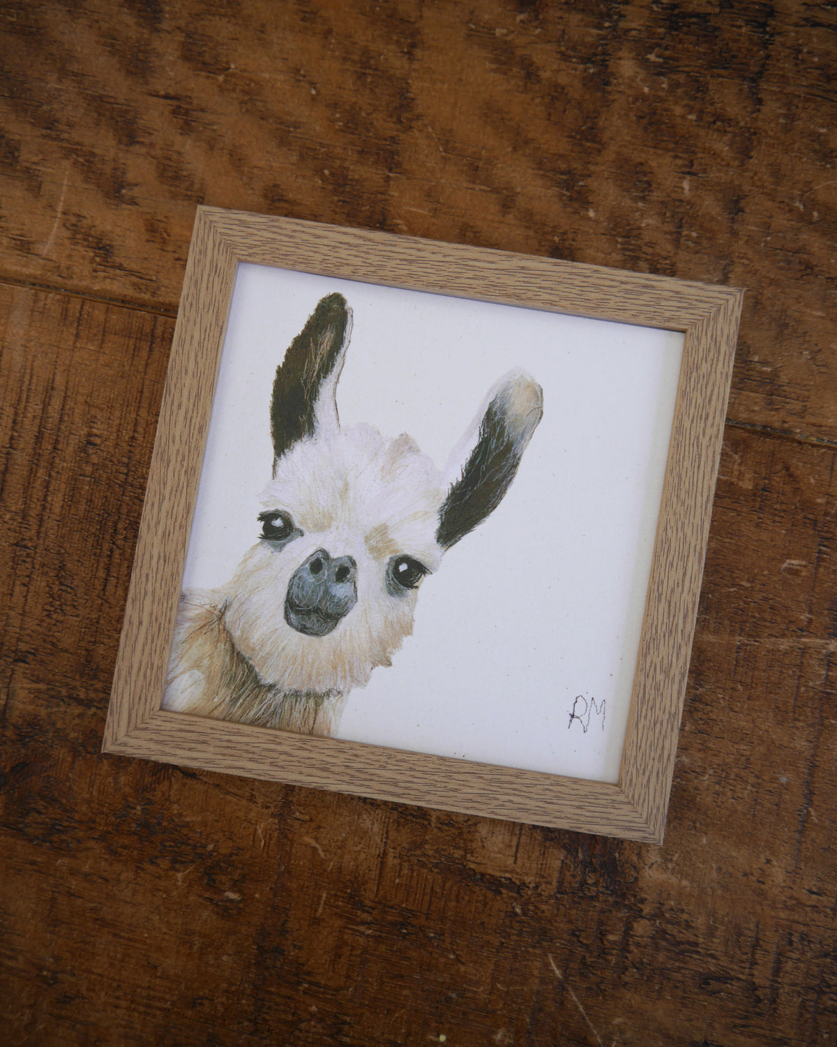 Llama Small Framed Print
