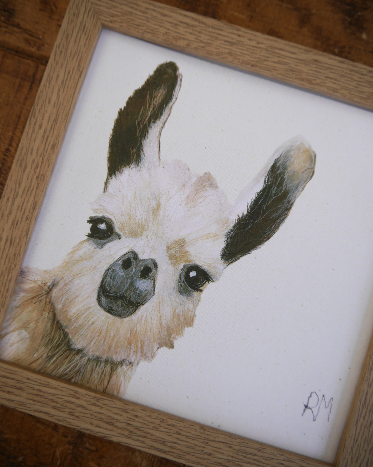Llama Small Framed Print