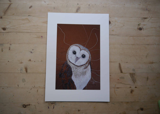 Barn Owl Art Print