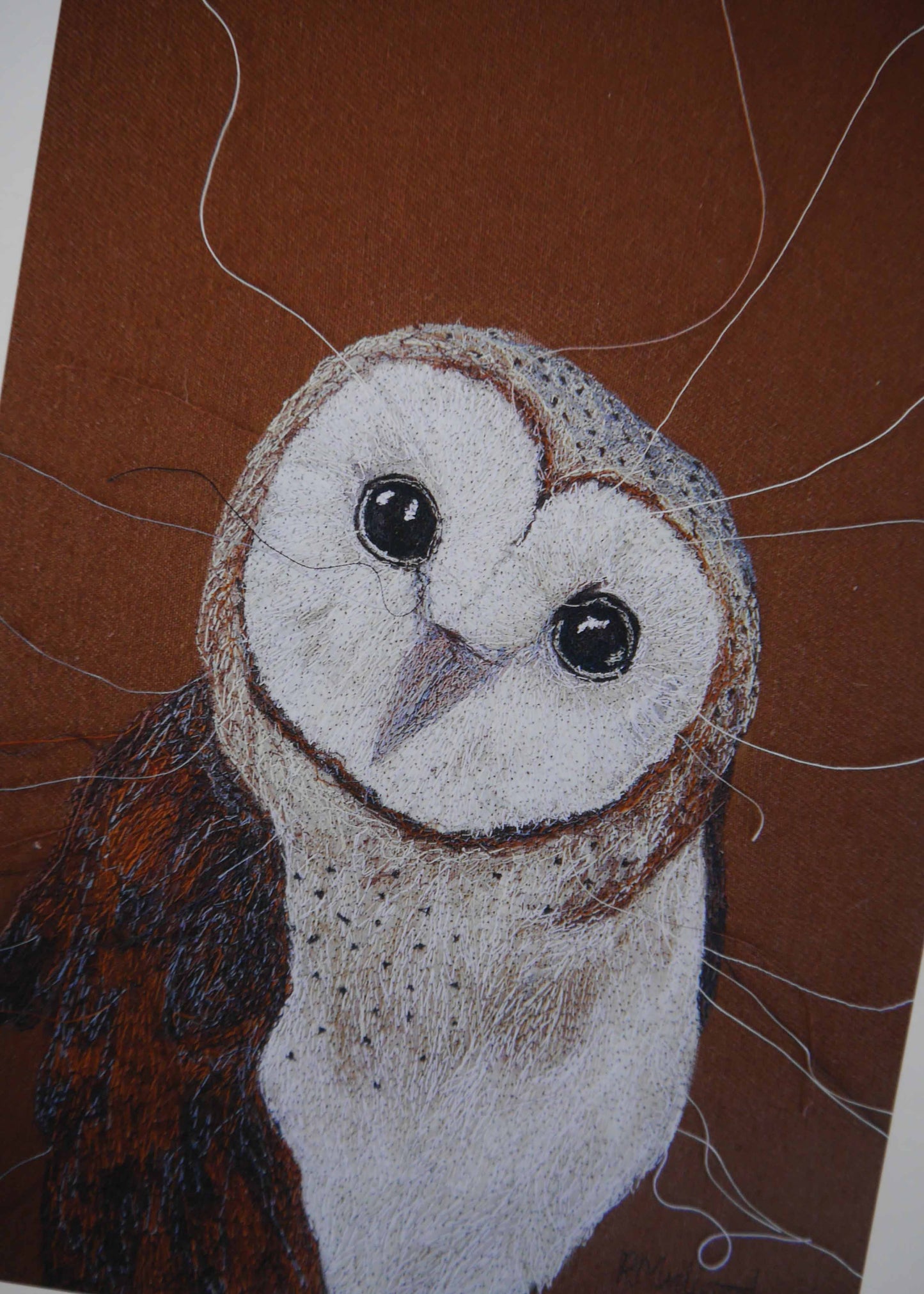 Barn Owl Art Print