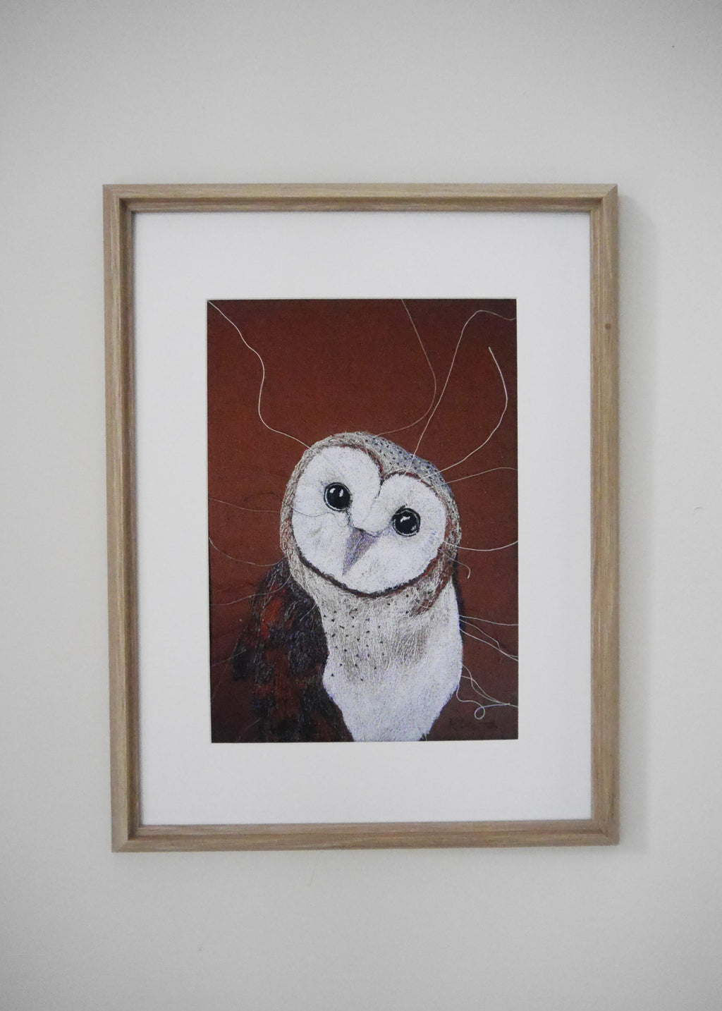 Barn Owl Art Print
