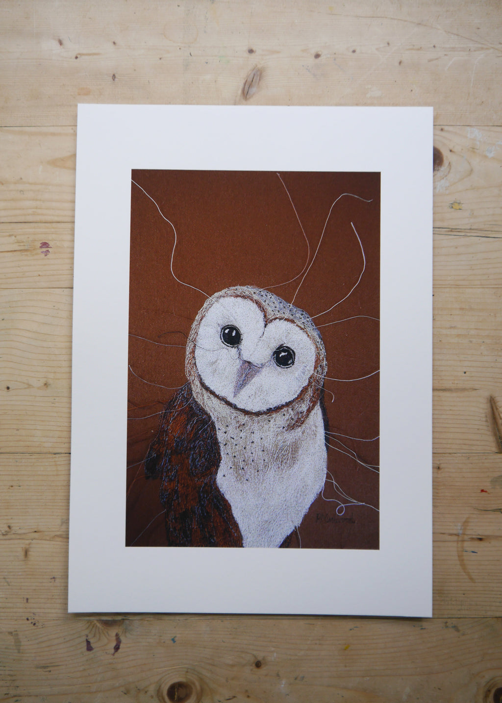 Barn Owl Art Print