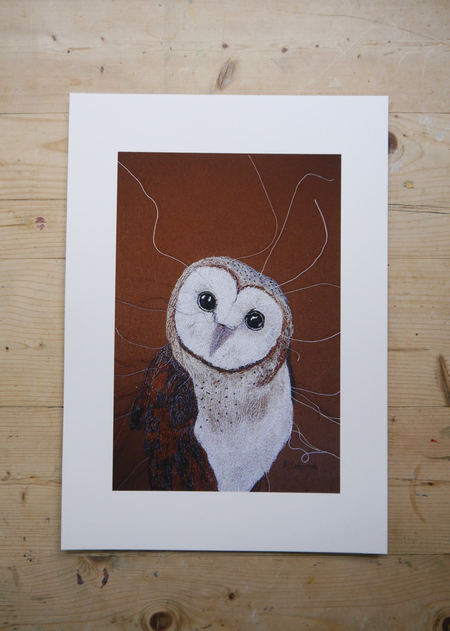 Barn Owl Art Print
