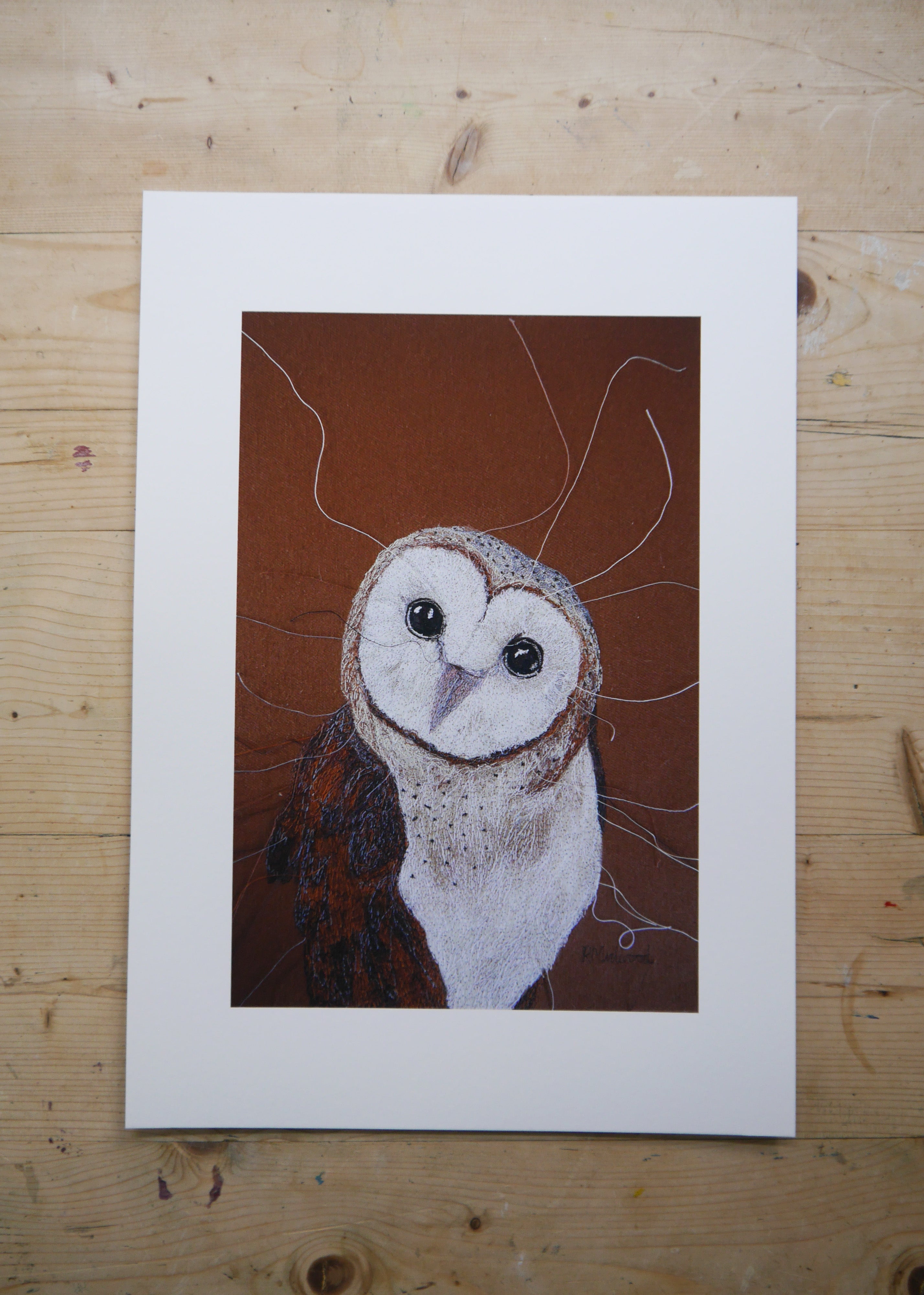 Barn Owl Art Print