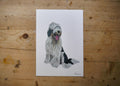 Old English Sheepdog Print