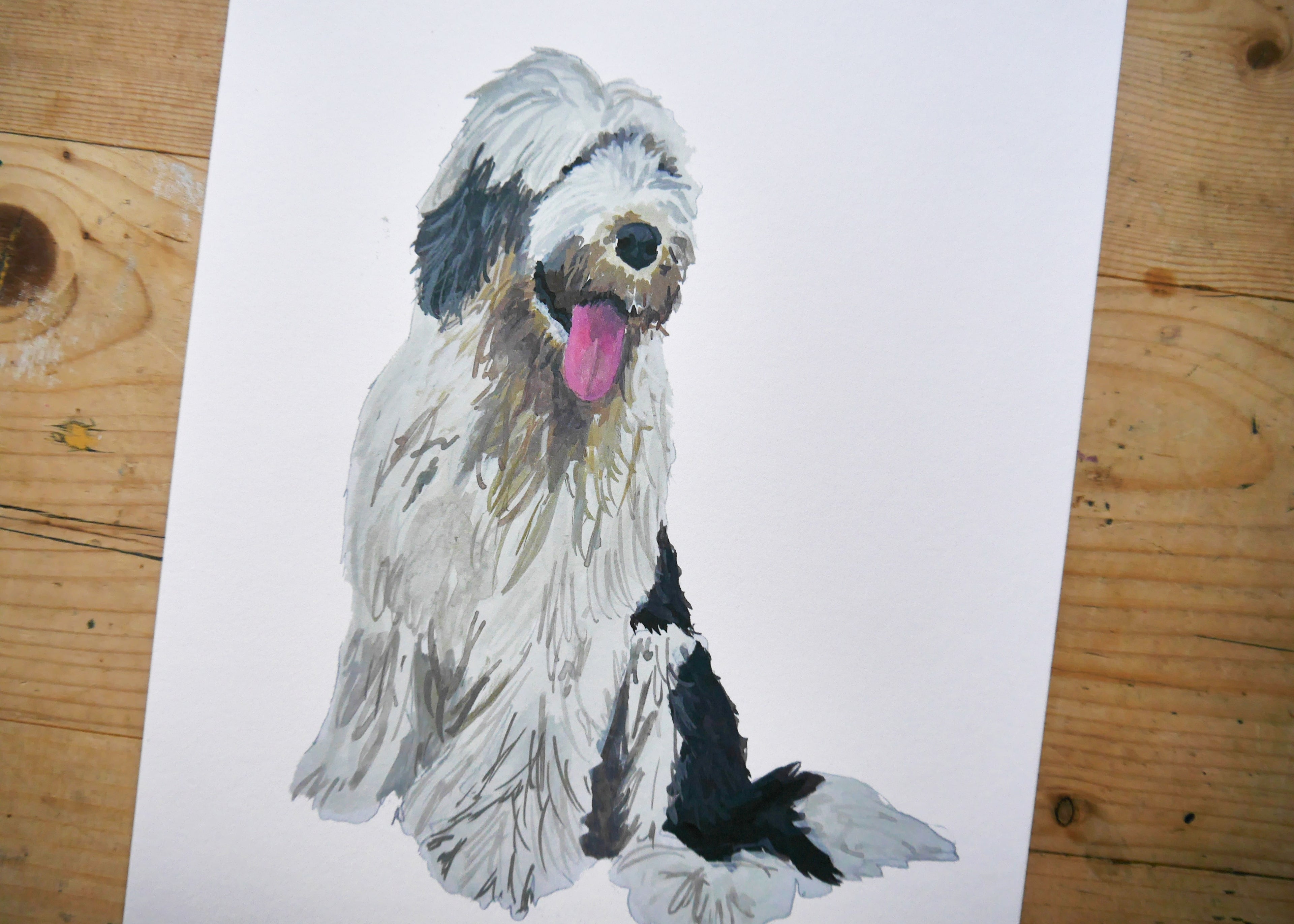 Old English Sheepdog Print