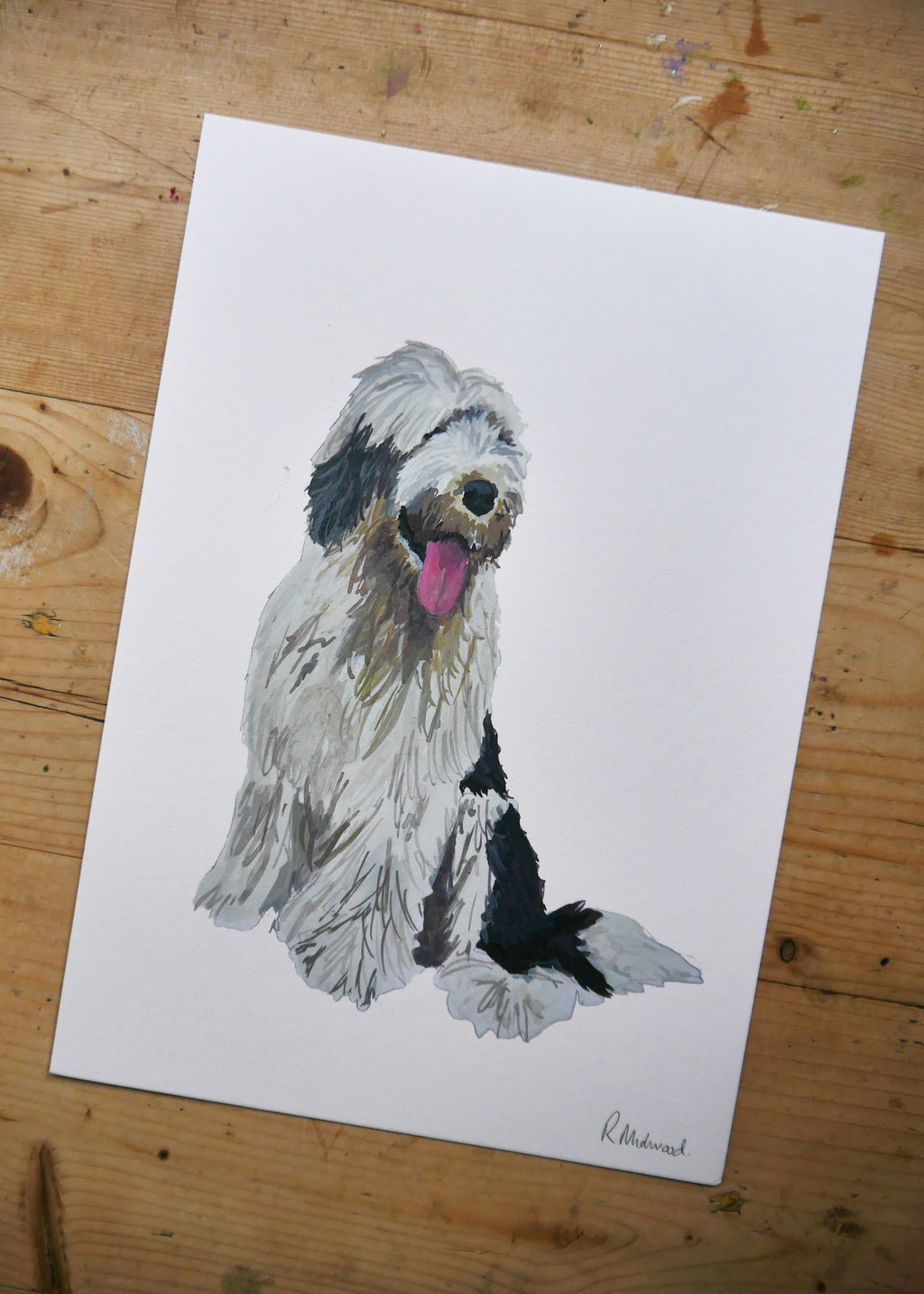 Old English Sheepdog Print