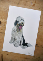 Old English Sheepdog Print