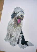 Old English Sheepdog Print
