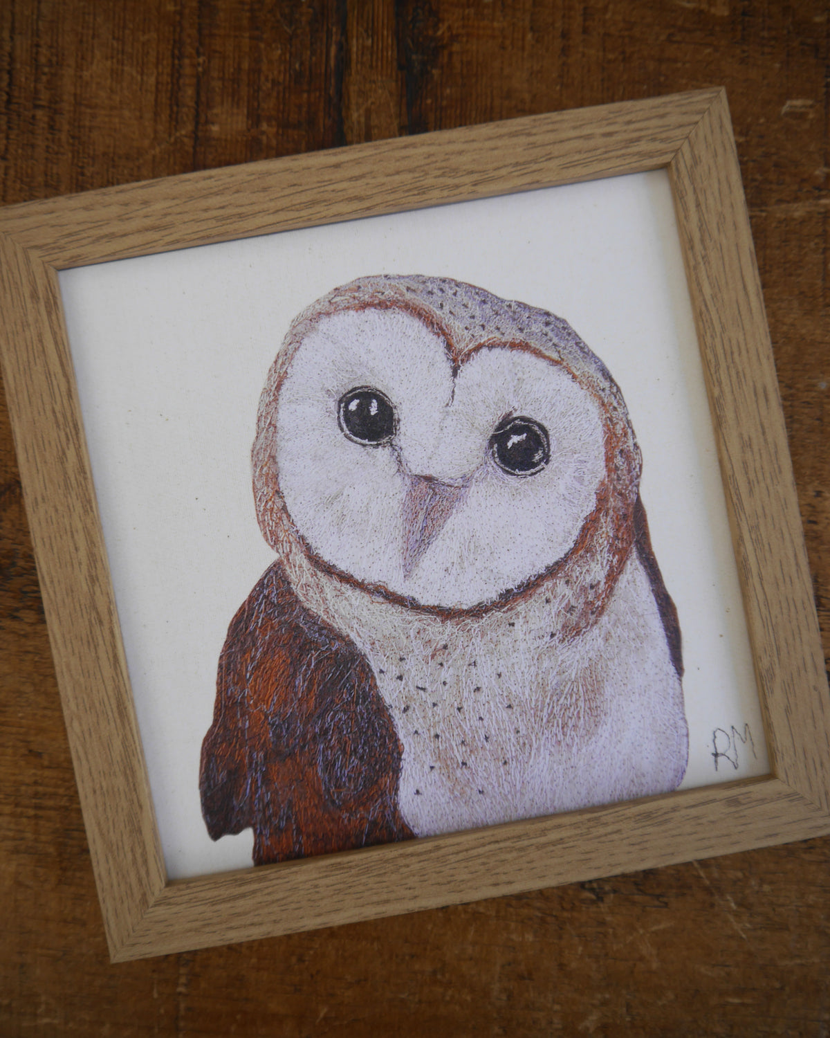 Barn Owl Small Framed Print