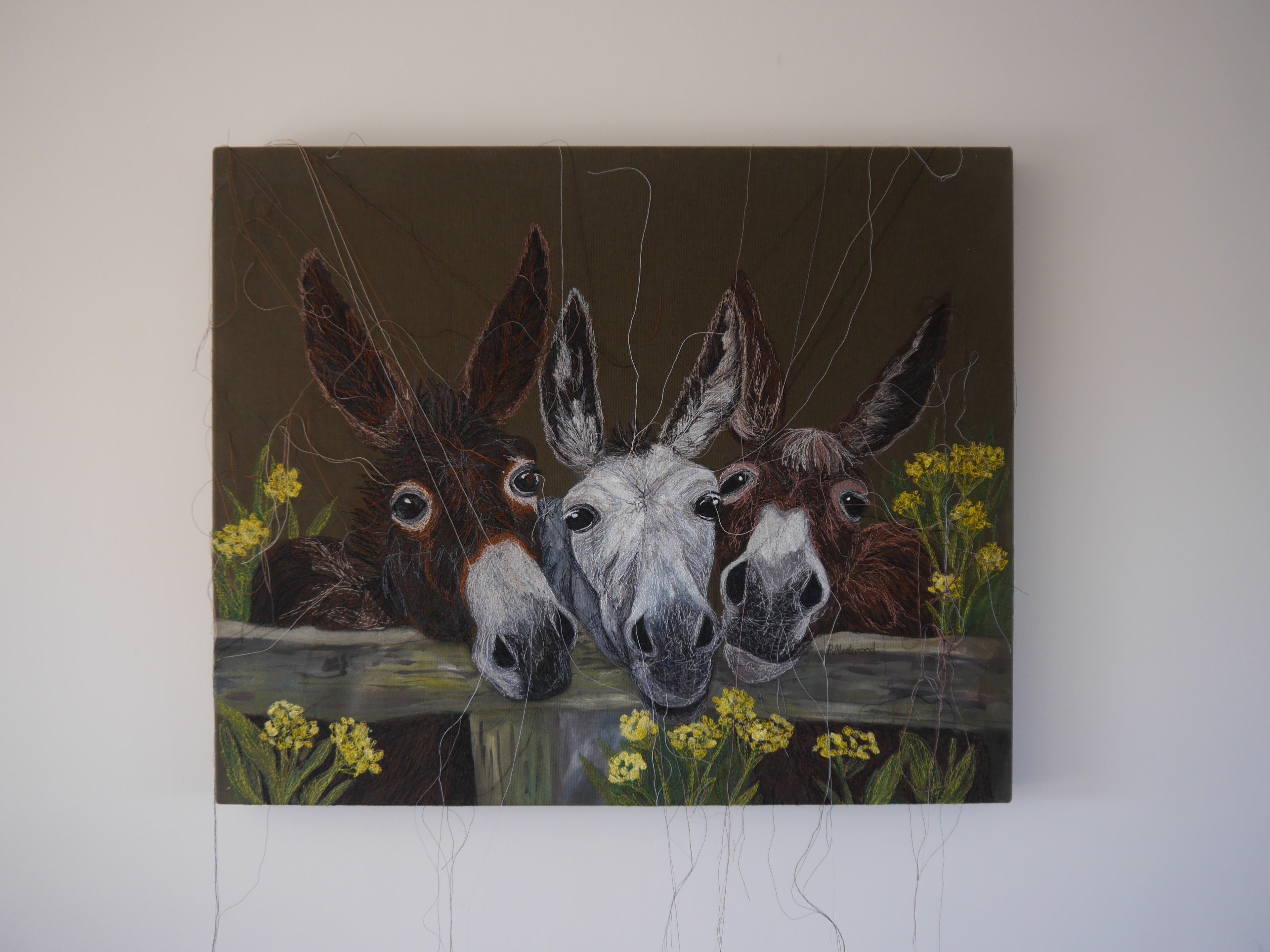 Donkey's Embroidered Canvas