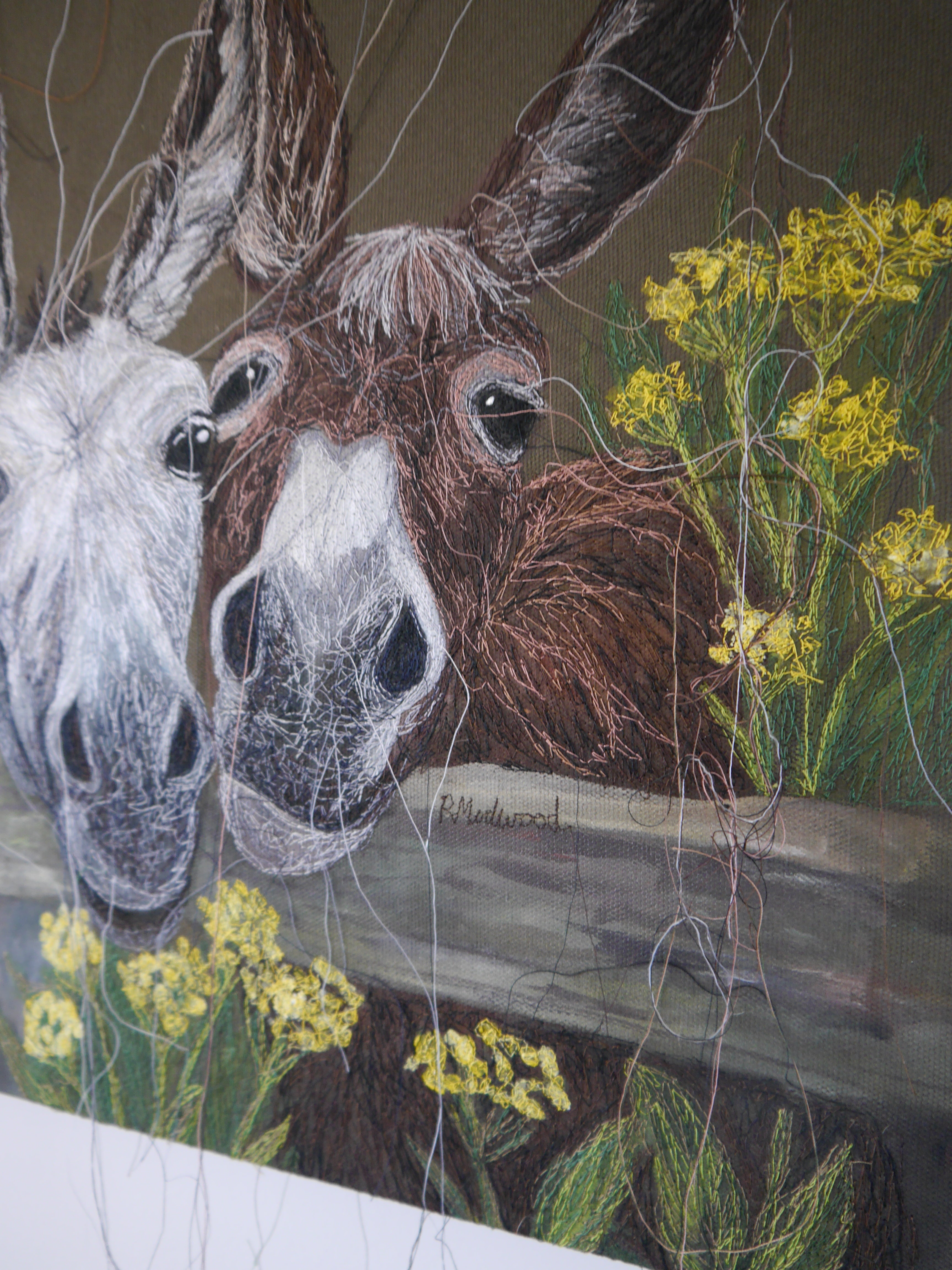 Donkey's Embroidered Canvas
