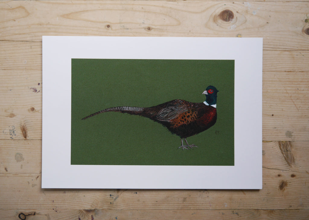 Pheasant Art Print