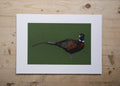 Pheasant Art Print