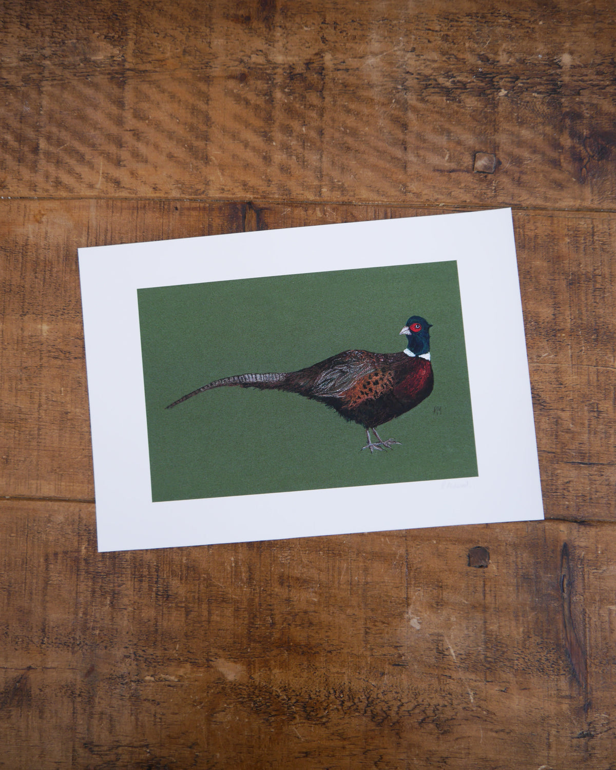 Pheasant Art Print
