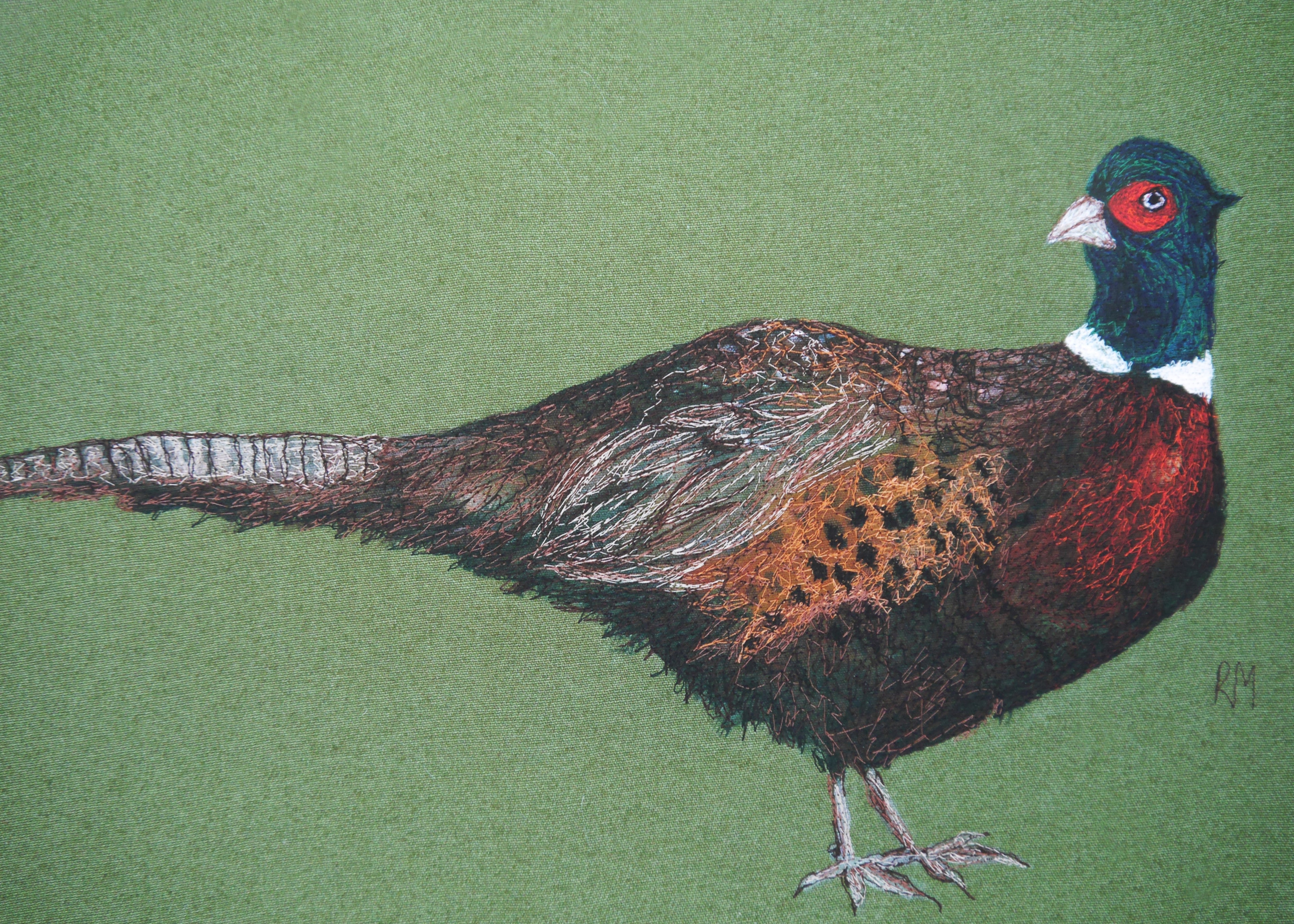 Pheasant Art Print
