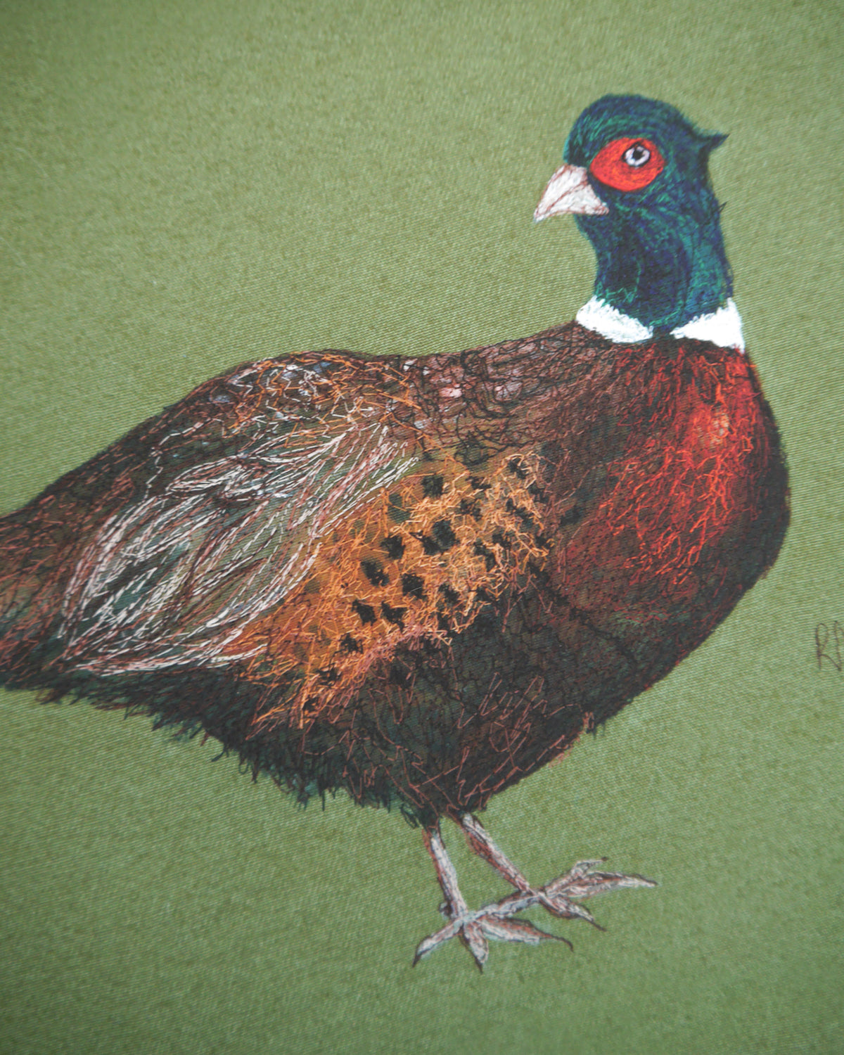 Pheasant Art Print