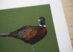 Pheasant Art Print