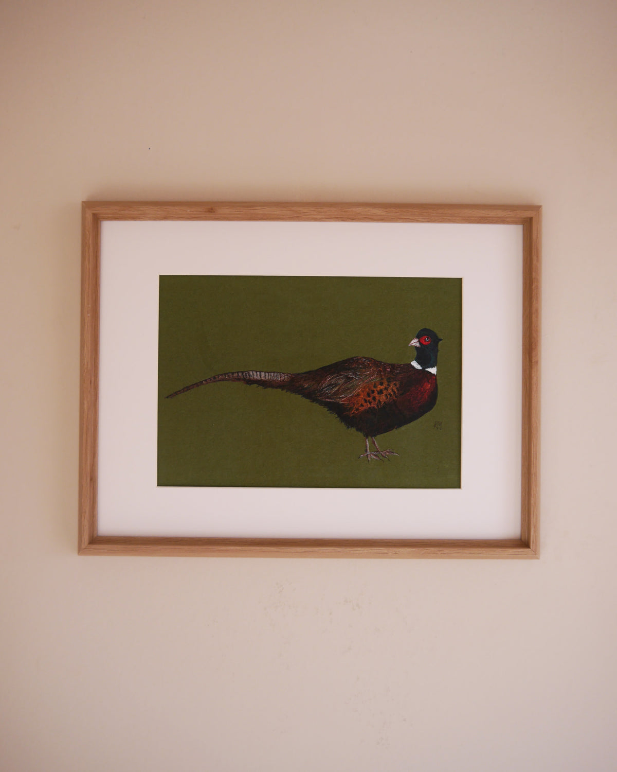 Pheasant Art Print